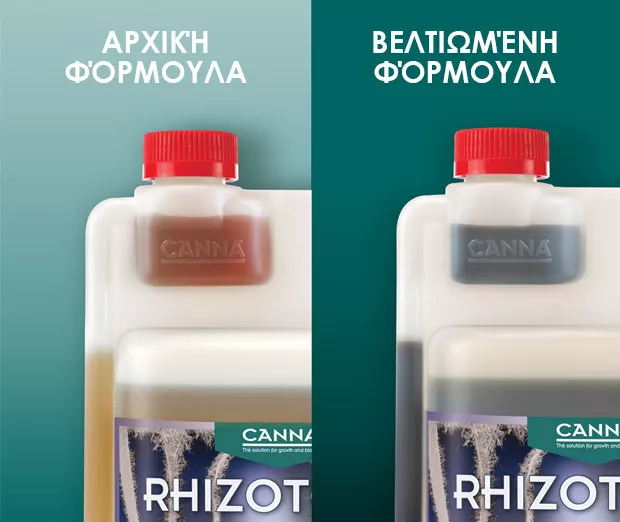 CANNA RHIZOTONIC