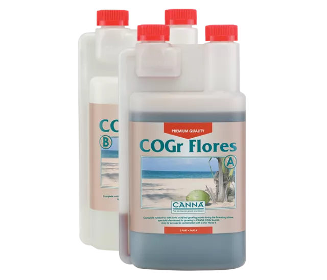 CANNA COGr Flores