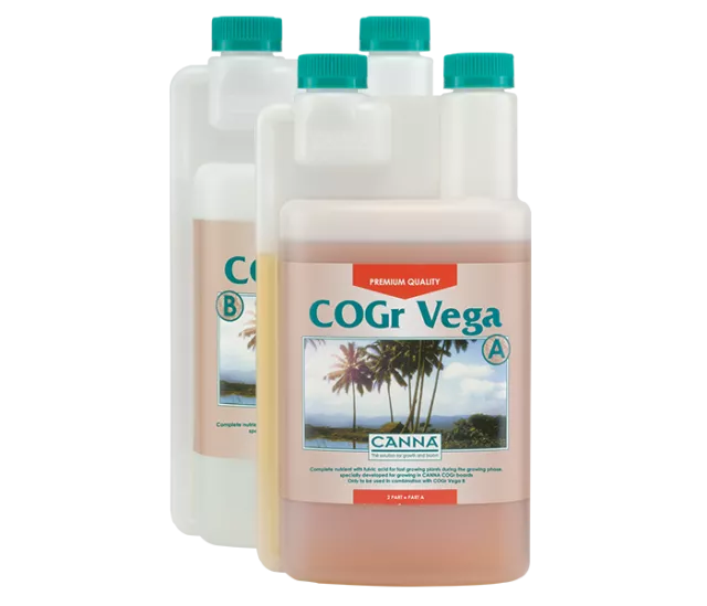 CANNA COGr Vega