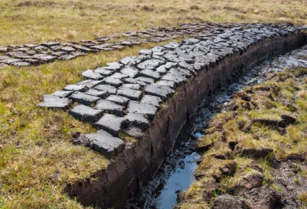 Different types of high peat