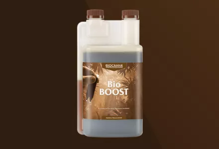 BioBOOST