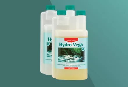 CANNA Hydro Vega