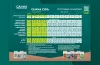 CANNA COGr Grow Schedule